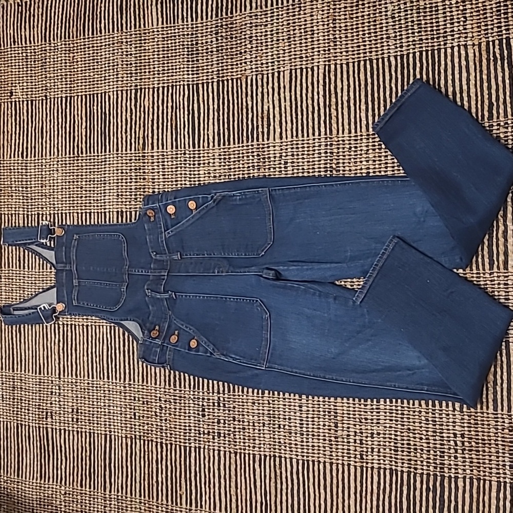 MADEWELL SKINNY JEAN OVERALLS - Picture 2 of 11